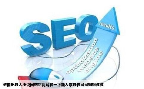 谁能把各大小说网站给我解释一下新人求各位哥哥姐姐叔叔