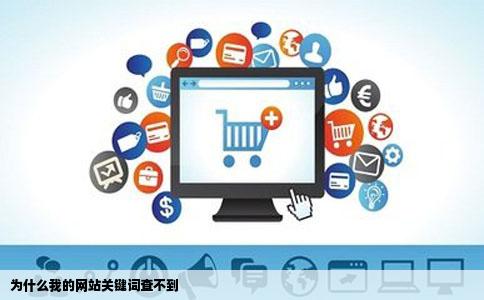 为什么我的网站关键词查不到