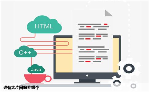 谁有大片网站介绍个