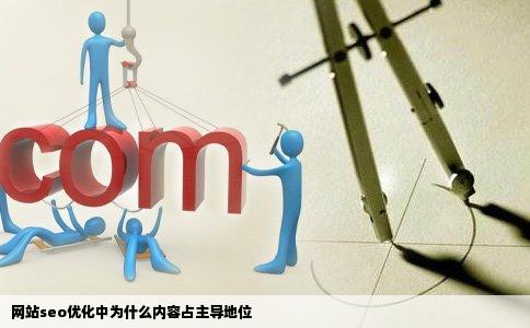 网站seo优化中为什么内容占主导地位