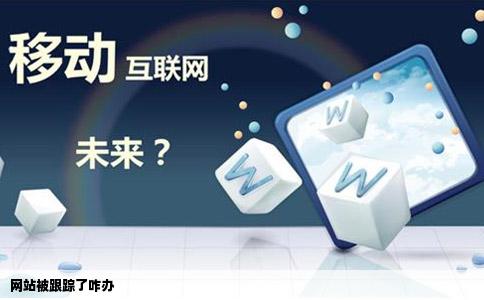 网站被跟踪了咋办