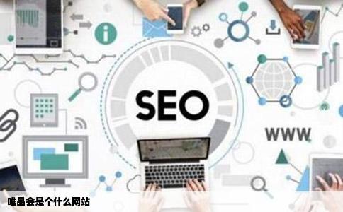 唯品会是个什么网站