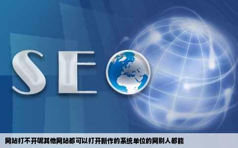 网站打不开呢其他网站都可以打开新作的系统单位的网别人都能