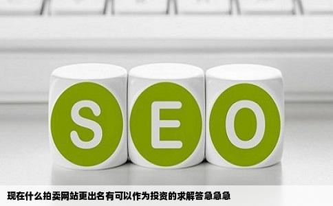现在什么拍卖网站更出名有可以作为投资的求解答急急急