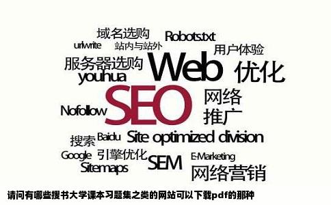请问有哪些搜书大学课本习题集之类的网站可以下载pdf的那种