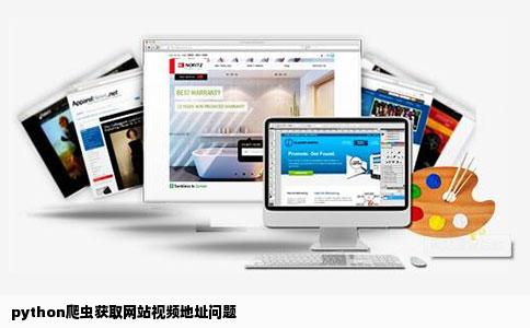 python爬虫获取网站视频地址问题