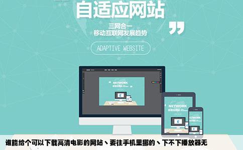 谁能给个可以下载高清电影的网站丶要往手机里挪的丶下不下播放器无