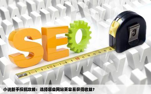小说新手投稿攻略:选择哪些网站更容易获得收益?