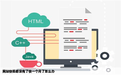 网站快照都没有了快一个月了怎么办