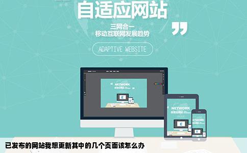 已发布的网站我想更新其中的几个页面该怎么办