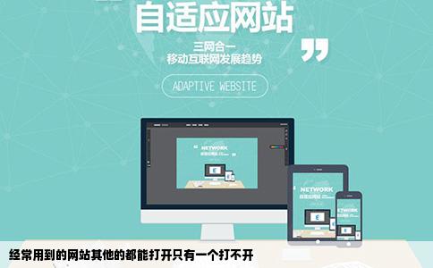 经常用到的网站其他的都能打开只有一个打不开