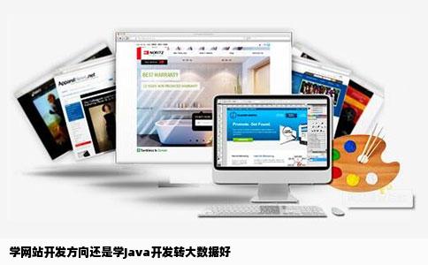 学网站开发方向还是学Java开发转大数据好