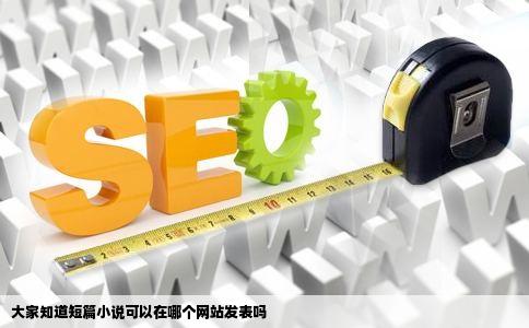 大家知道短篇小说可以在哪个网站发表吗