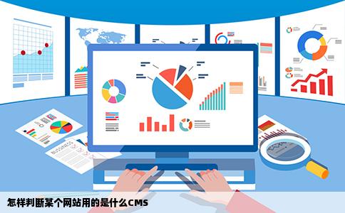 怎样判断某个网站用的是什么CMS