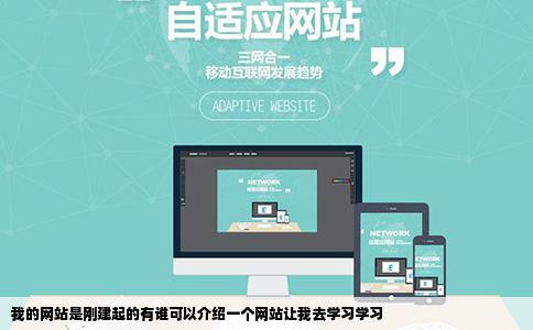 我的网站是刚建起的有谁可以介绍一个网站让我去学习学习
