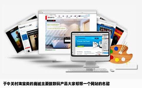 于中关村淘宝类的商城主要做数码产品大家帮想一个网站的名称