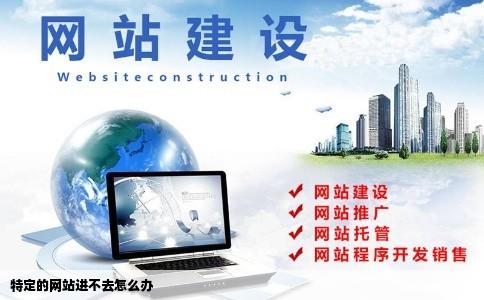 特定的网站进不去怎么办