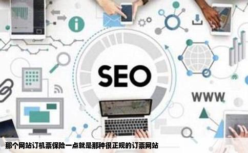 那个网站订机票保险一点就是那种很正规的订票网站