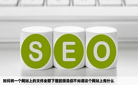 如何将一个网站上的文件全部下载前提是你不知道这个网站上有什么