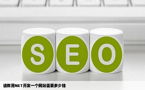请教用NET开发一个网站需要多少钱