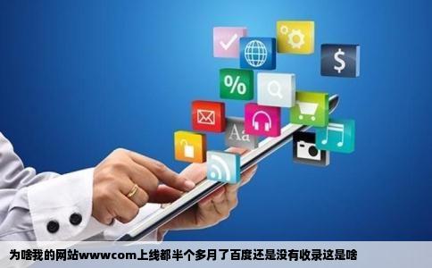 为啥我的网站wwwcom上线都半个多月了百度还是没有收录这是啥