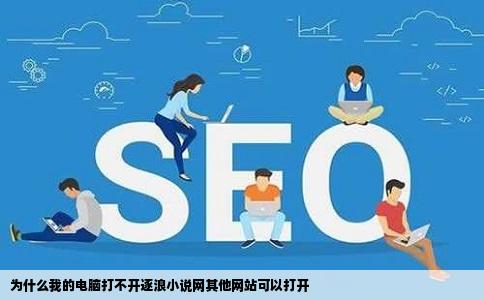 为什么我的电脑打不开逐浪小说网其他网站可以打开