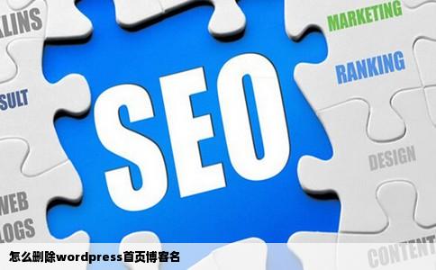 怎么删除wordpress首页博客名