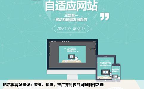 哈尔滨网站建设：专业、优惠、推广并到位的网站制作之选