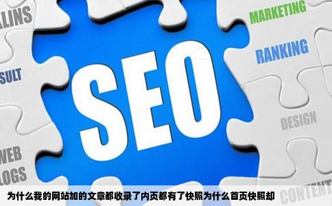 为什么我的网站加的文章都收录了内页都有了快照为什么首页快照却