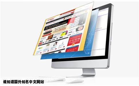 谁知道国外知名中文网站