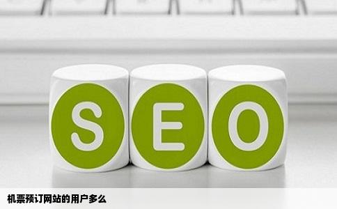 机票预订网站的用户多么