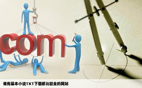 谁有基本小说TXT下载都比较全的网站