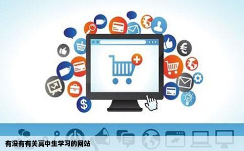 有没有有关高中生学习的网站