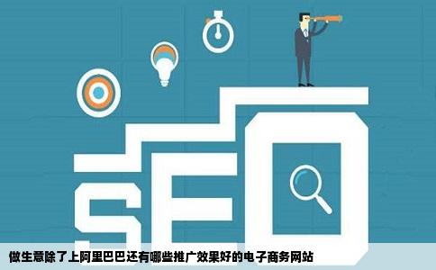 做生意除了上阿里巴巴还有哪些推广效果好的电子商务网站