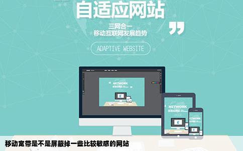 移动宽带是不是屏蔽掉一些比较敏感的网站
