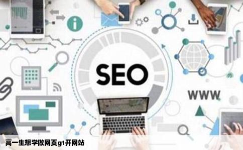 高一生想学做网页gt开网站