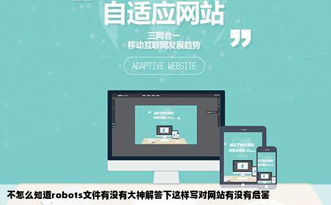 不怎么知道robots文件有没有大神解答下这样写对网站有没有危害