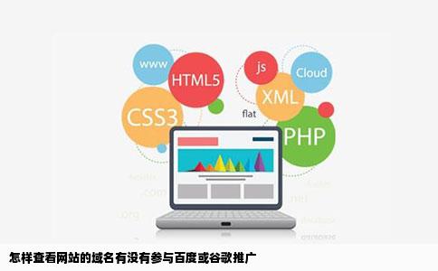 怎样查看网站的域名有没有参与百度或谷歌推广