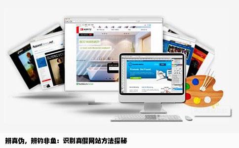 辨真伪,辨钓非鱼:识别真假网站方法探秘