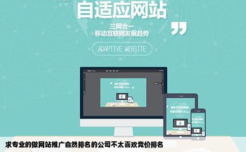 求专业的做网站推广自然排名的公司不太喜欢竞价排名