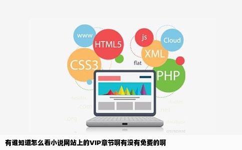 有谁知道怎么看小说网站上的VIP章节啊有没有免费的啊
