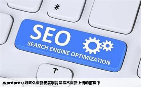 wordpress则呢么重新安装啊我是指不重新上传的前提下
