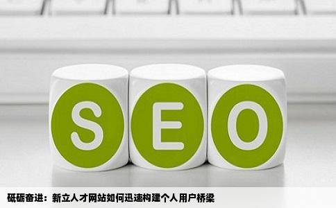 砥砺奋进：新立人才网站如何迅速构建个人用户桥梁