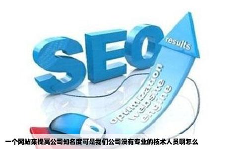 一个网站来提高公司知名度可是我们公司没有专业的技术人员啊怎么