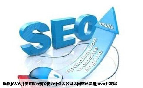 既然JAVA开发速度没有C快为什么大公司大网站还是用java开发呢