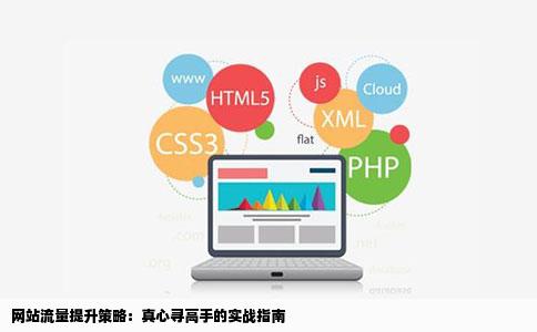 网站流量提升策略：真心寻高手的实战指南