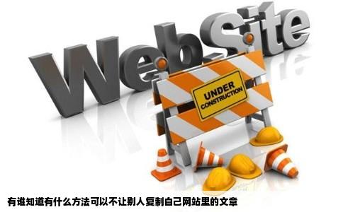 有谁知道有什么方法可以不让别人复制自己网站里的文章