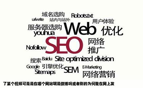 了某个视频可是是在哪个网站呢是微博吗或者别的为何我在网上发