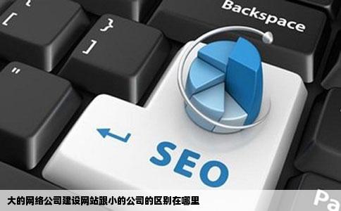 大的网络公司建设网站跟小的公司的区别在哪里
