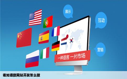 谁知道微网站开发怎么做